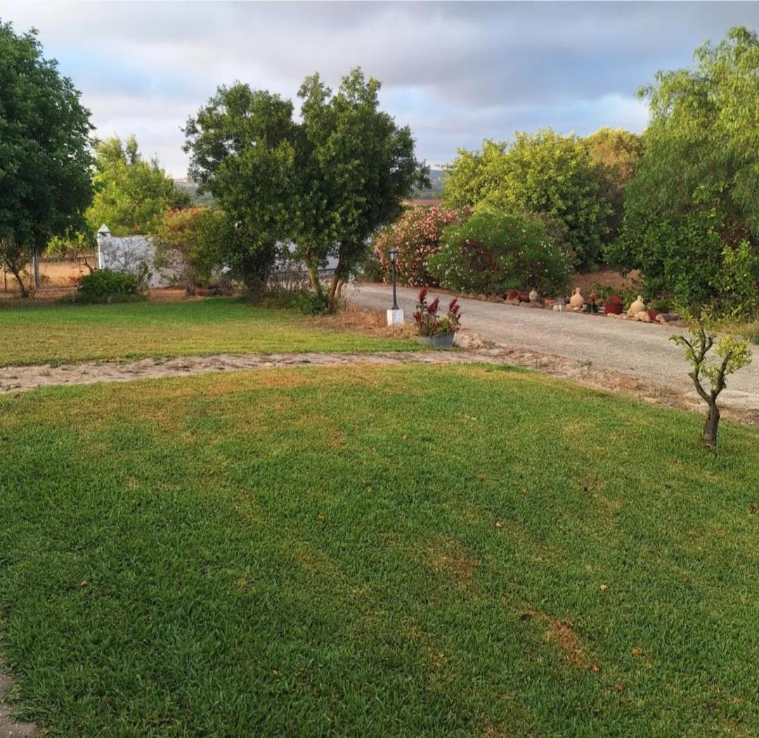 Casa Rural El Nino Santamaria , Con Piscina Y Wifi เวเฮร์ เด ลา ฟรอนเตรา ภายนอก รูปภาพ