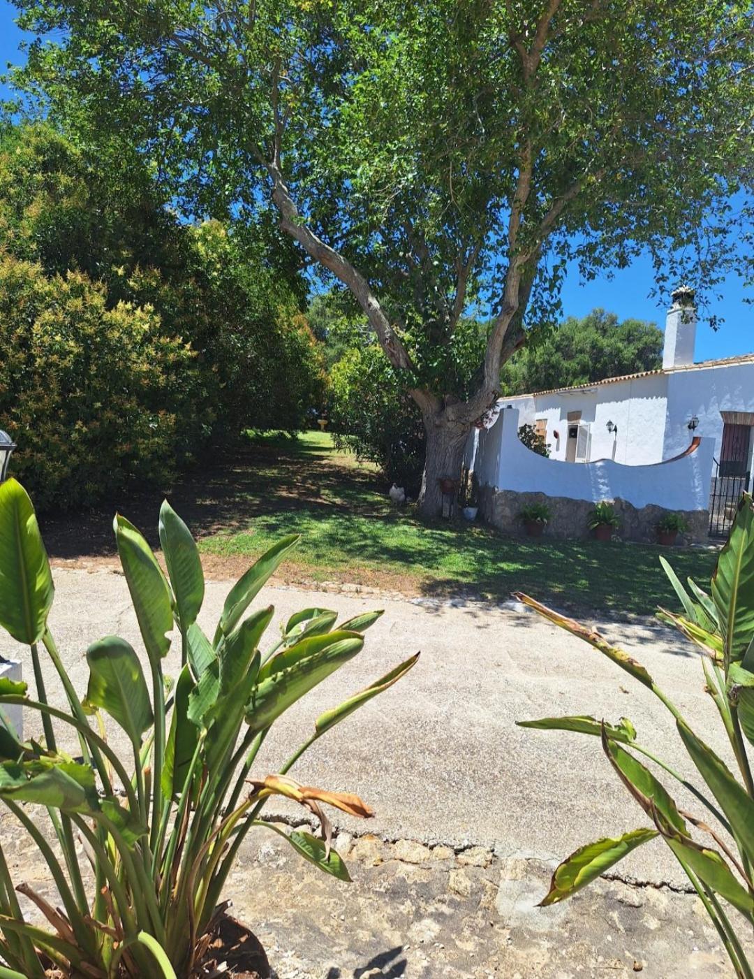 Casa Rural El Nino Santamaria , Con Piscina Y Wifi เวเฮร์ เด ลา ฟรอนเตรา ภายนอก รูปภาพ